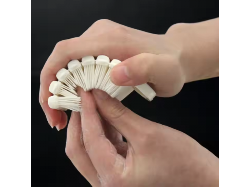 Bàn chải vệ sinh móng tay SAK
